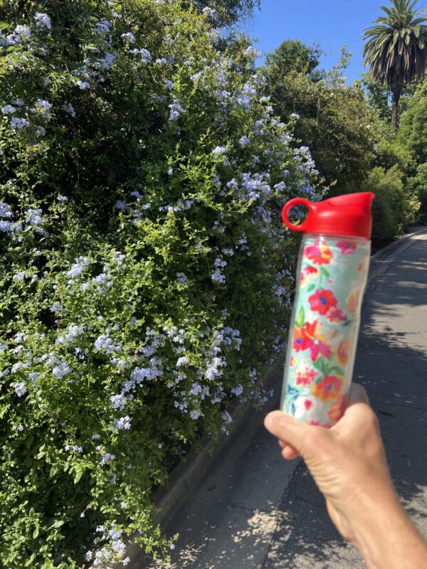 red floral water color custom water bottle